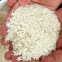 برنج امرللهی 10 کیلویی معطر تضمینی