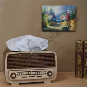 جا دستمال کاغذی طرح رادیو