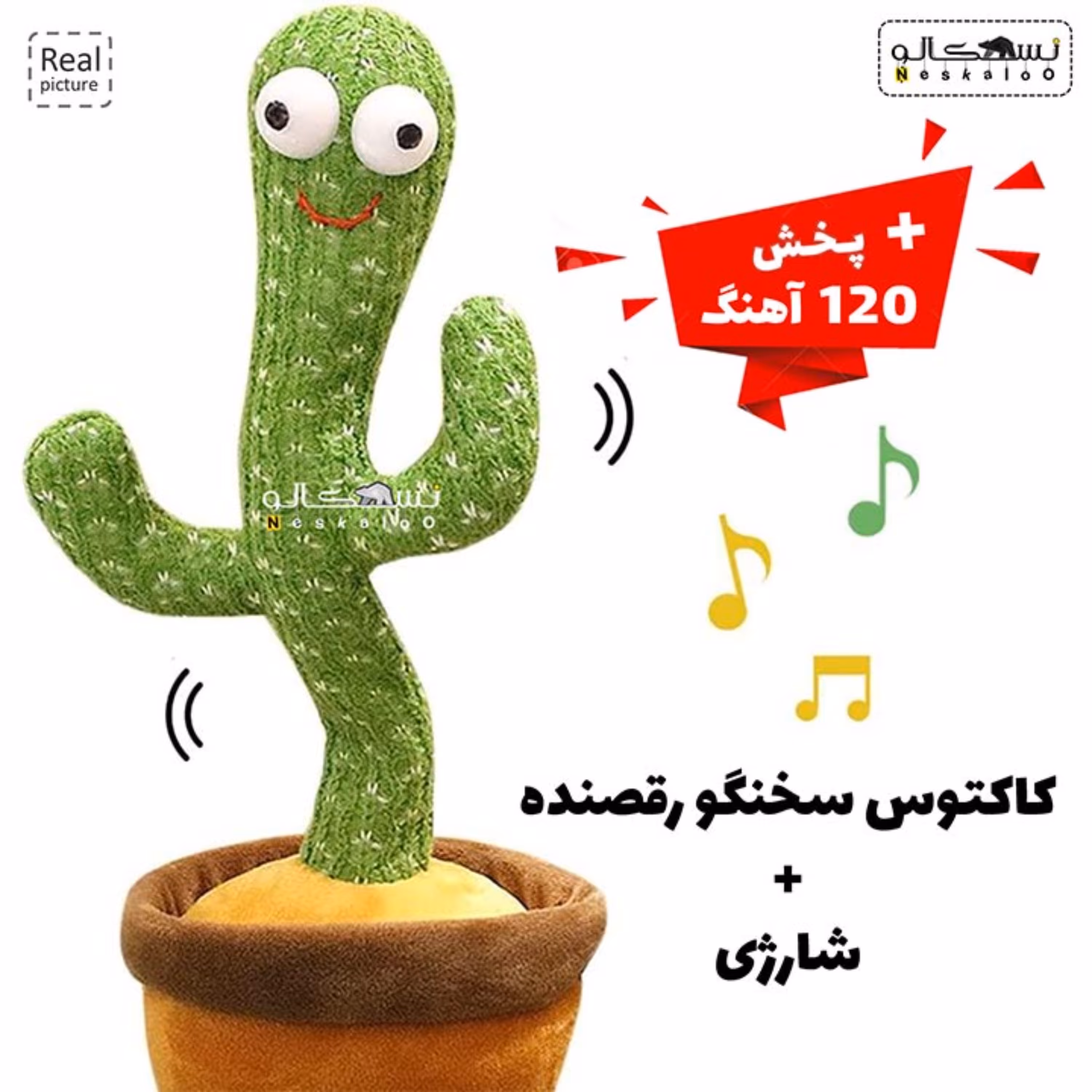 کاکتوس سخنگو شارژی موزیکال