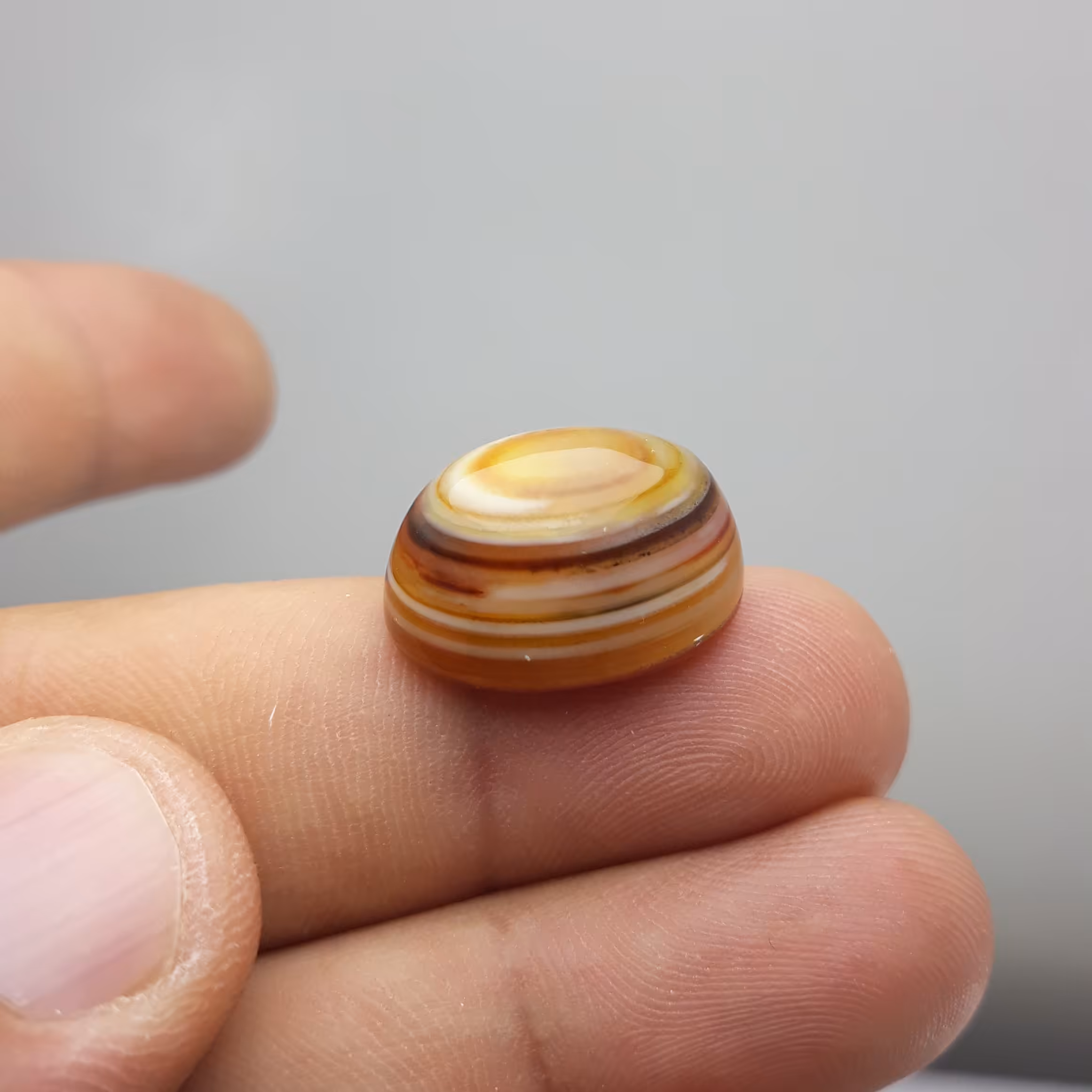 نگین باباقوری طوق دار معدنی