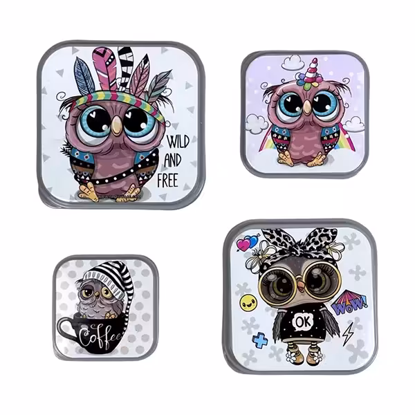 ظرف نگهدارنده 4 تکه تاپکو