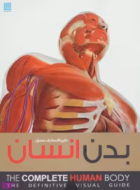 دایره المعارف بدن مصور انسان