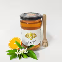 عسل بهارنارنج خام و طبیعی فروردین ساکارز2.1