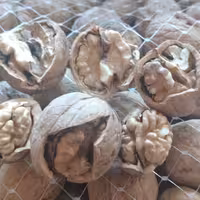 گردو ممتاز پوست کاغذی 900گرمی امساله سفید و چرب(تضمین کیفیت و مرجوعی)