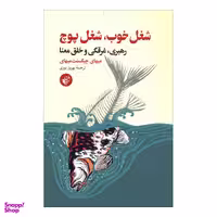 کتاب شغل خوب، شغل پوچ اثر میهای چیکسنت میهای نشر ترجمان
