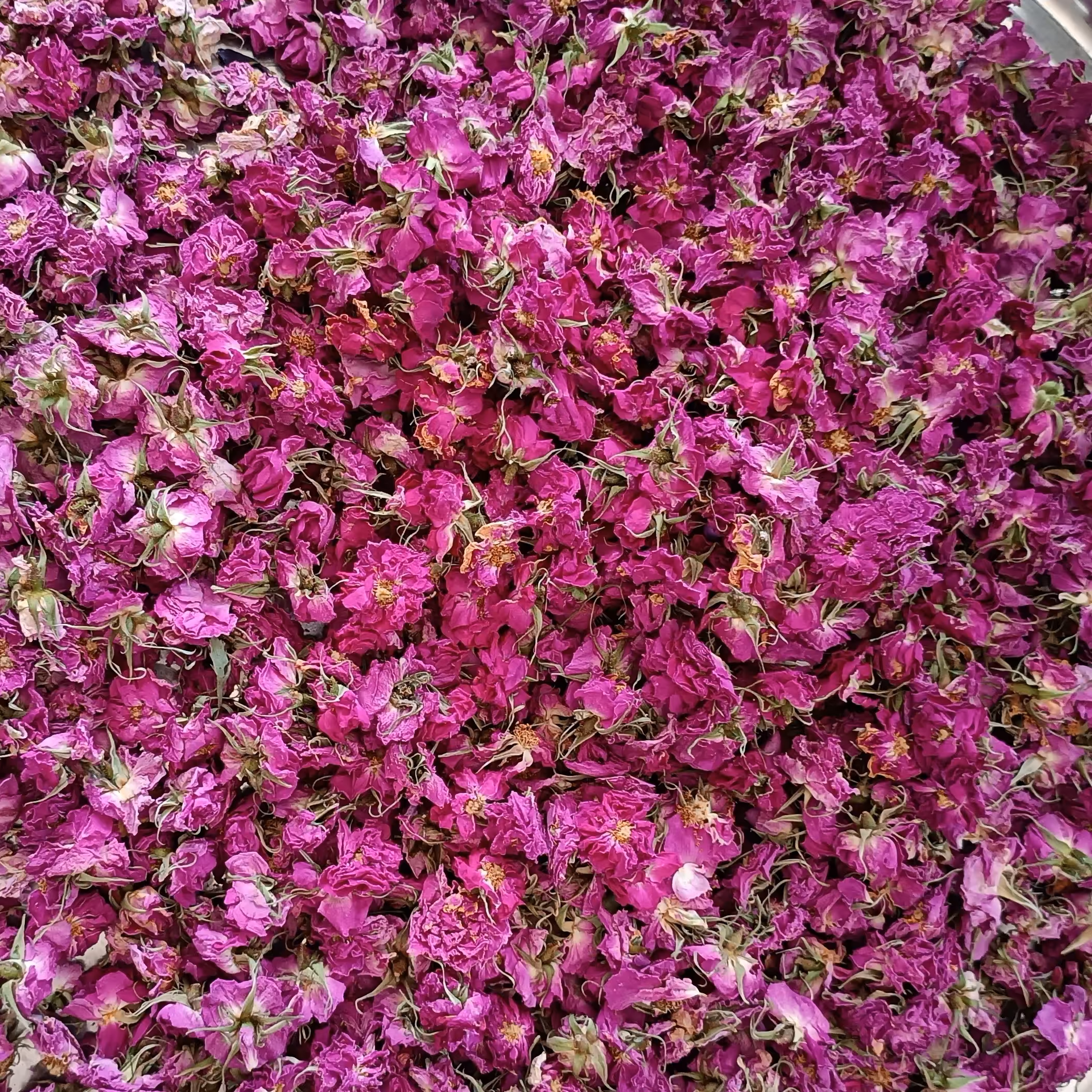 گل محمدی خشک شده درجه1محصول1402