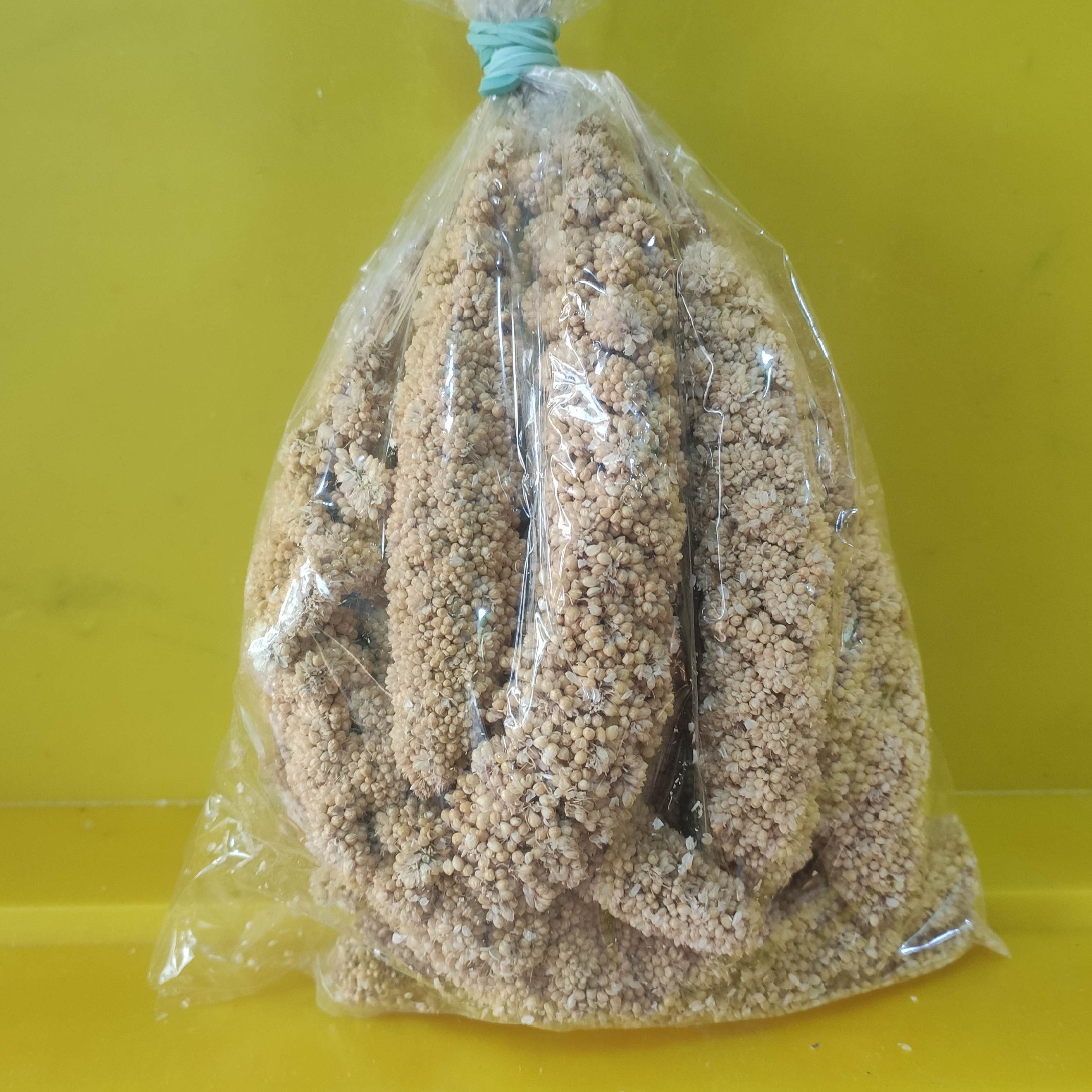 ارزن خوشه ای - غذای تشویقی طوطی سانان (وزن خالص 200 گرم)