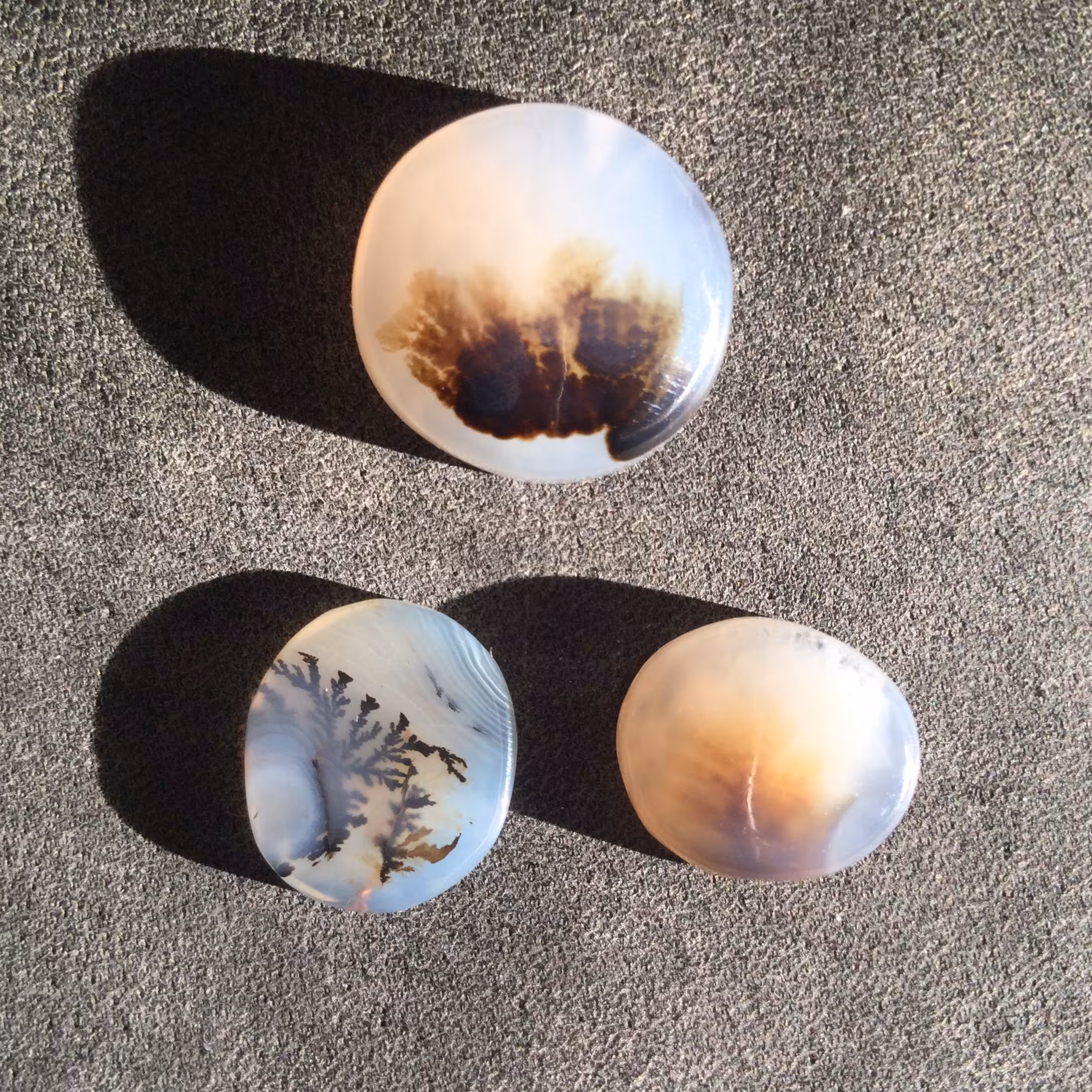 پک شجر درجه دو قاین 