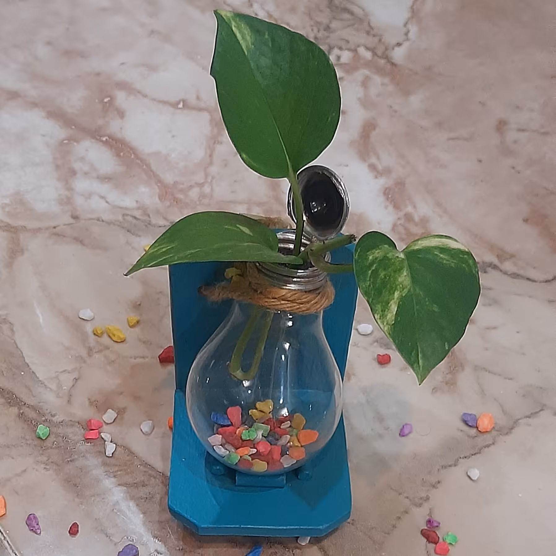 گلدان شیشه ای گل و گیاه 
لامپ شیشه ای
گلدان با لامپ شیشه ای 
لامپ تزئینی