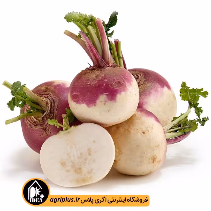 بذر شلغم بسته بندی خانگی