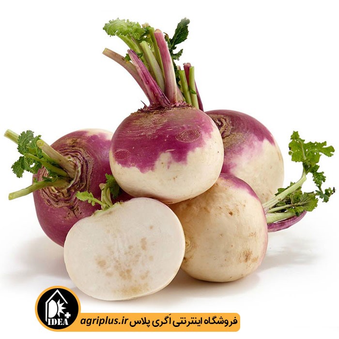 بذر شلغم بسته بندی خانگی