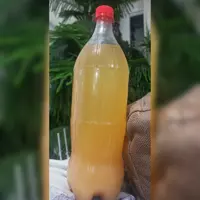 سرکه کاملاً طبیعی و صد در صد انگور خانگی 1400 گرمی (پس کرایه)