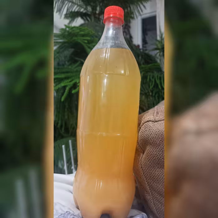 سرکه کاملاً طبیعی و صد در صد انگور خانگی 1400 گرمی (پس کرایه)