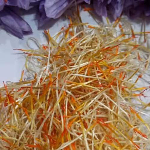 ریشه زعفران