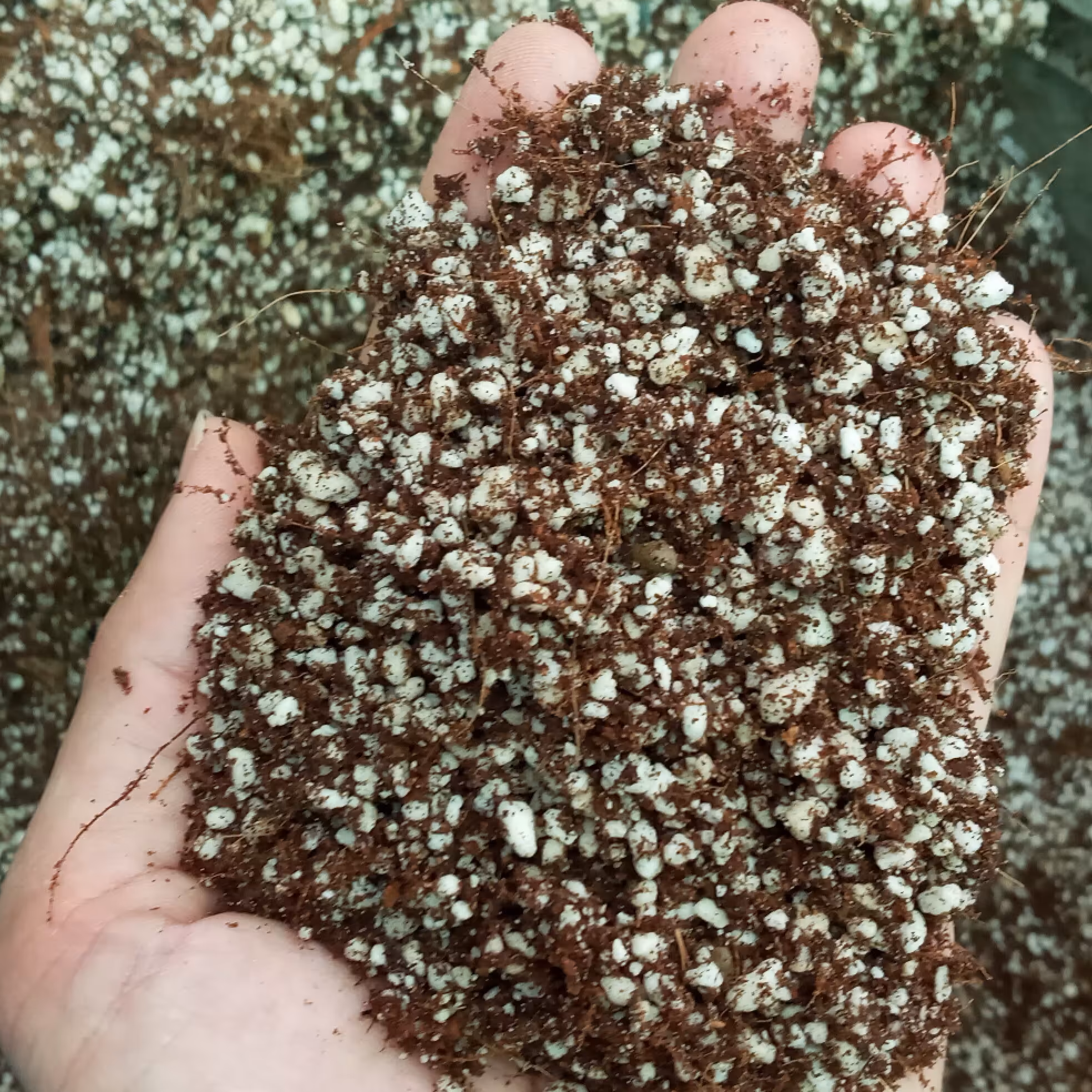 خاک ترکیبی مخصوص انواع گیاه