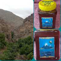 عسل کوهستان مطهر یک کیلویی