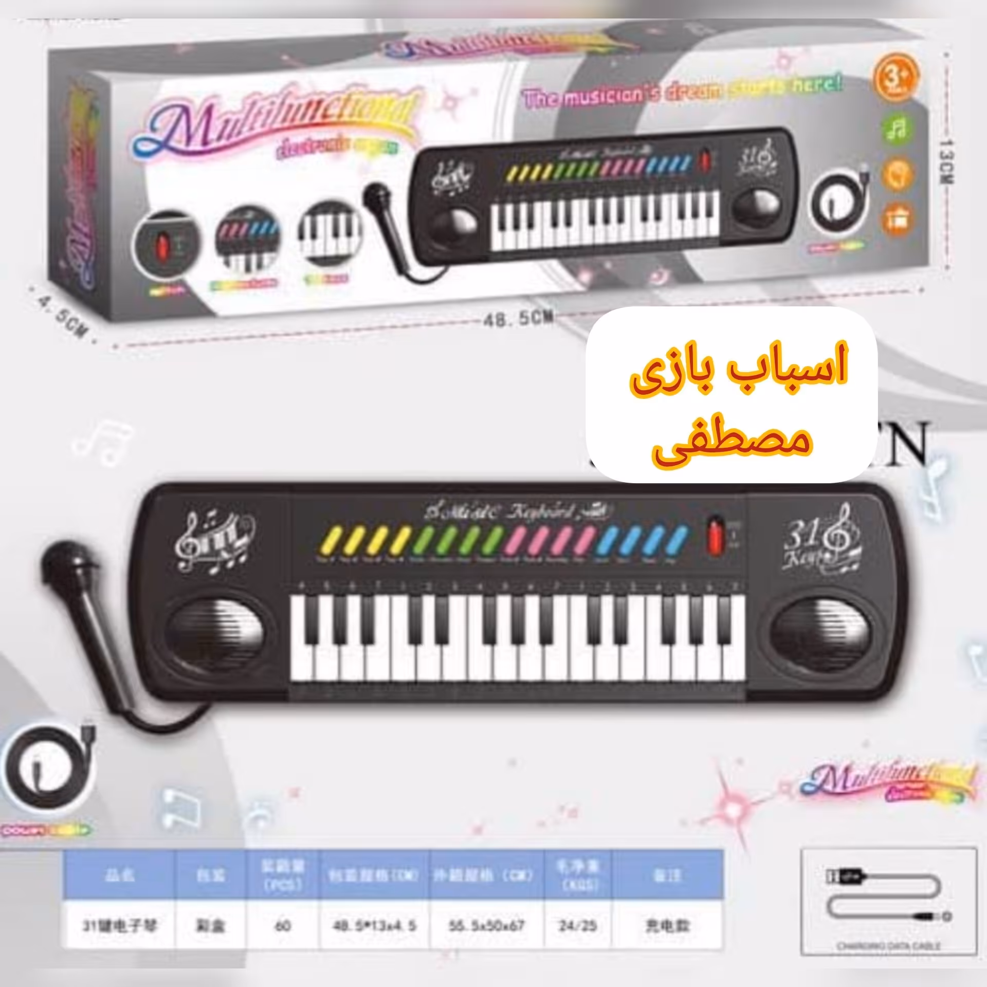 ارگ میکروفون دار 31 کلید خارجی باتری خور و برقی