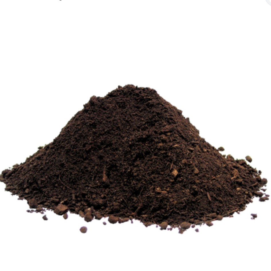  خاک و کود مناسب برای خاک گیاهان بسته ( 1000 گرمی).