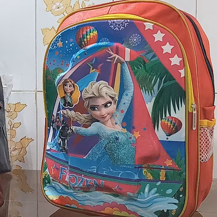 کیف مدرسه آنا السا فروزن طرح برجسته 