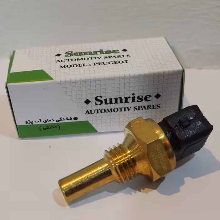 بسته 10 عددی سنسور فشنگی دمای آب پژو 405 دو فیش مشکی با آلیاژ برنج 