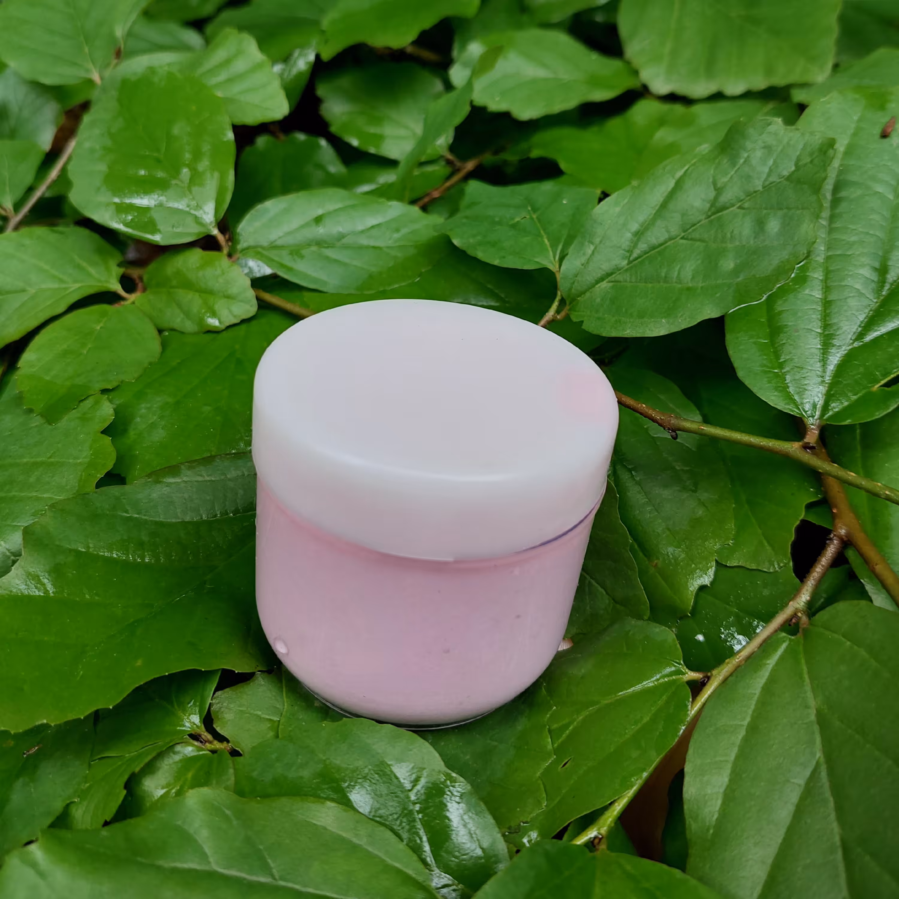 کره ی بدن گیاهی مناسب پوست های معمولی تا بسیار خشک با رایحه یاس