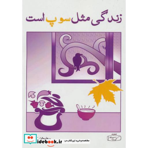 کتاب زندگی مثل سوپ است اثر رضوان کریمی