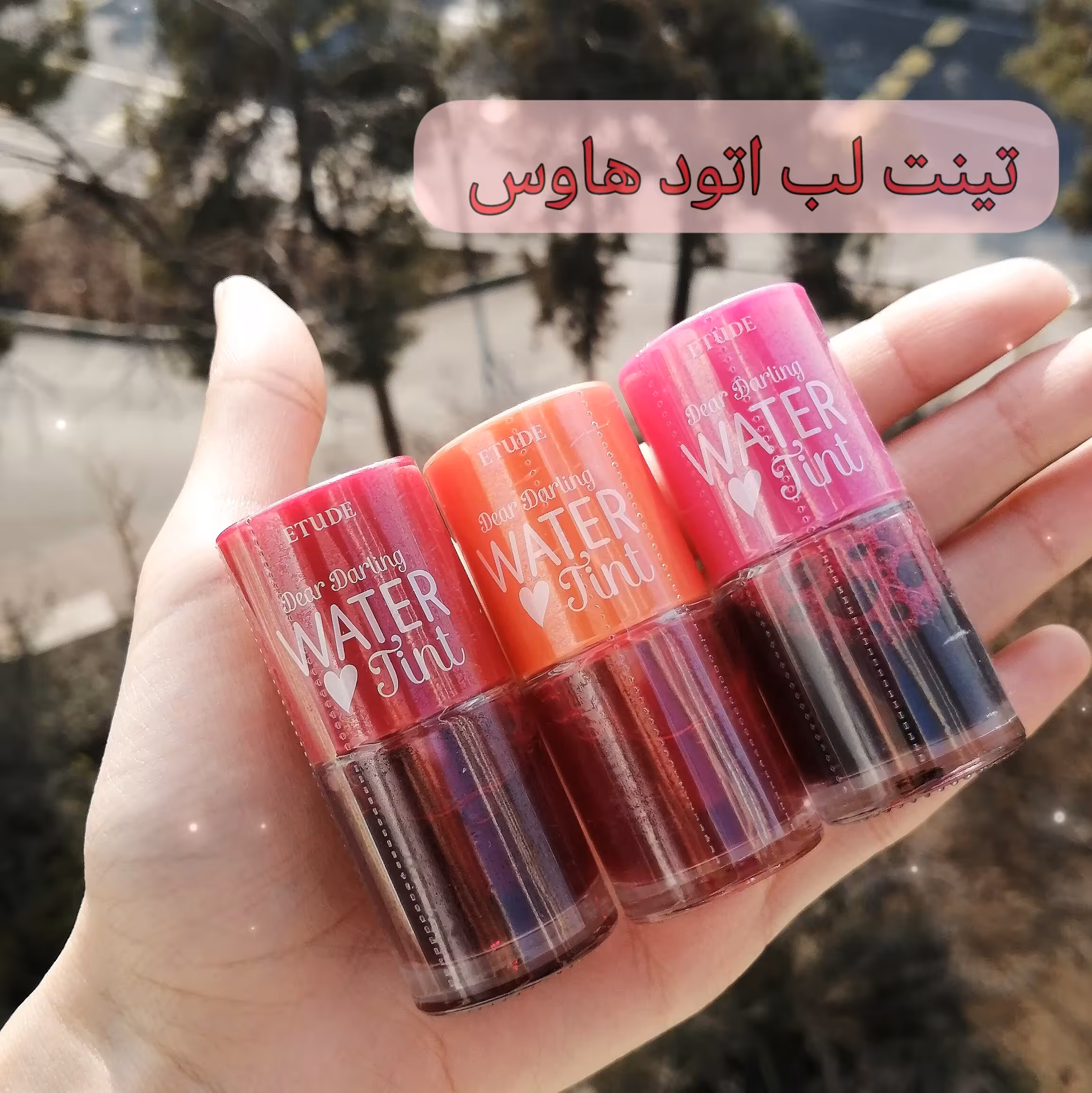 تینت لب اتود هاوس 