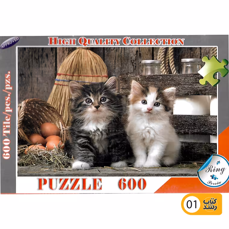 پازل 600 تکه رینگ (متنوع)