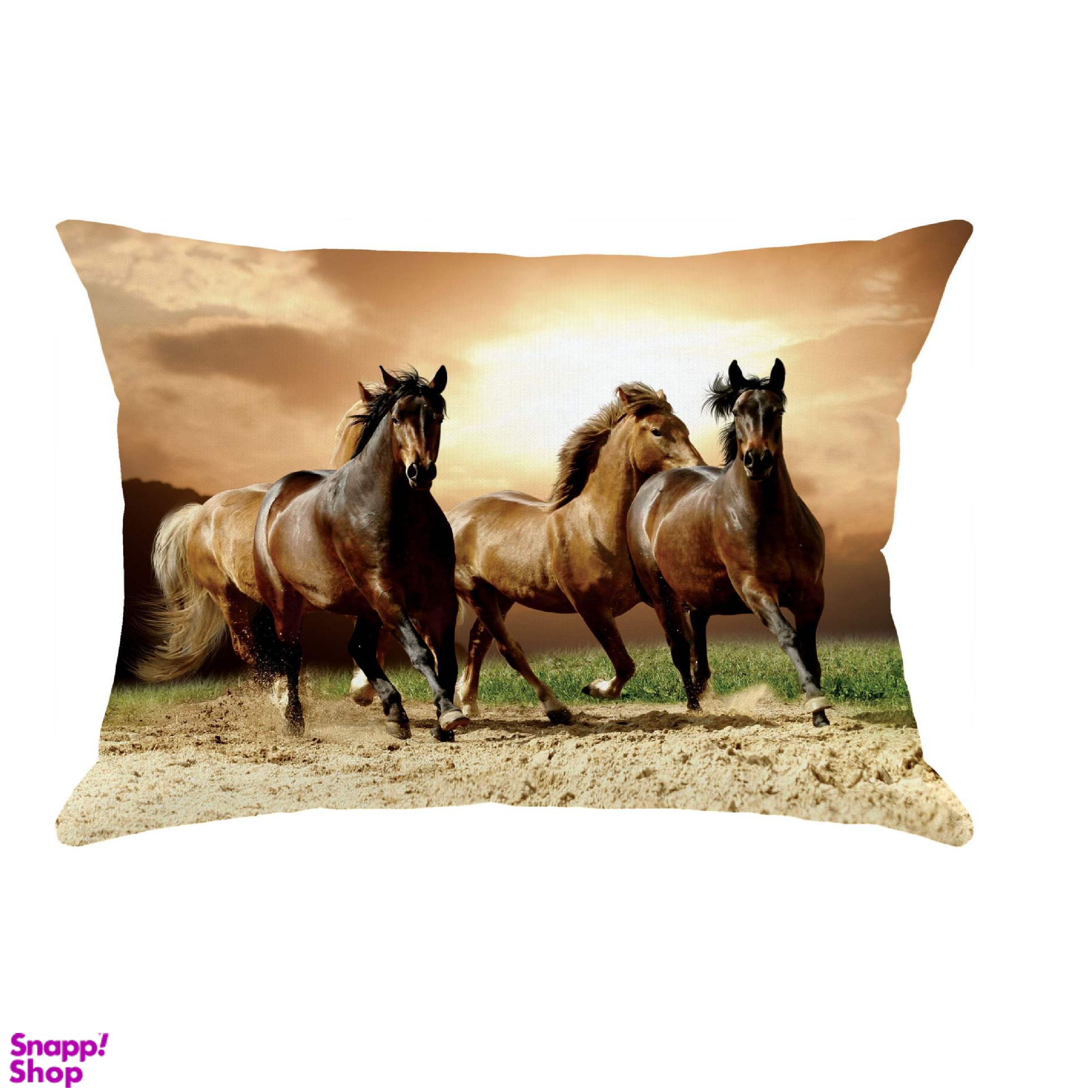 کوسن مدل R1-10852 چند رنگ