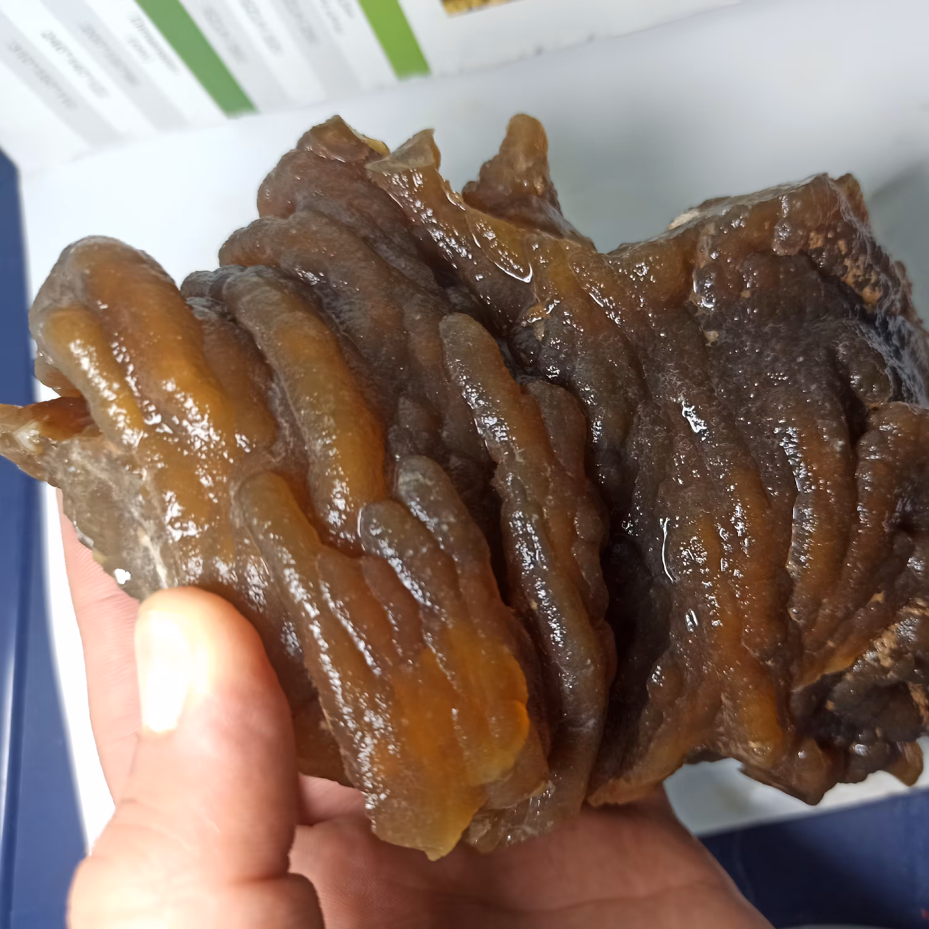 سنگ راف معدنی عقیق ریشه ای بسیار خاص و خوشرنگ عسلی کلکسیونی تزئینی