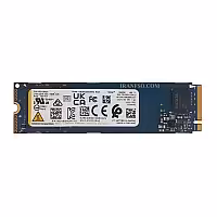 هارد SSD لپ تاپ 256 گیگابایت Kioxia M.2 NVME 2280 یکسال گارانتی افق-بدون پک