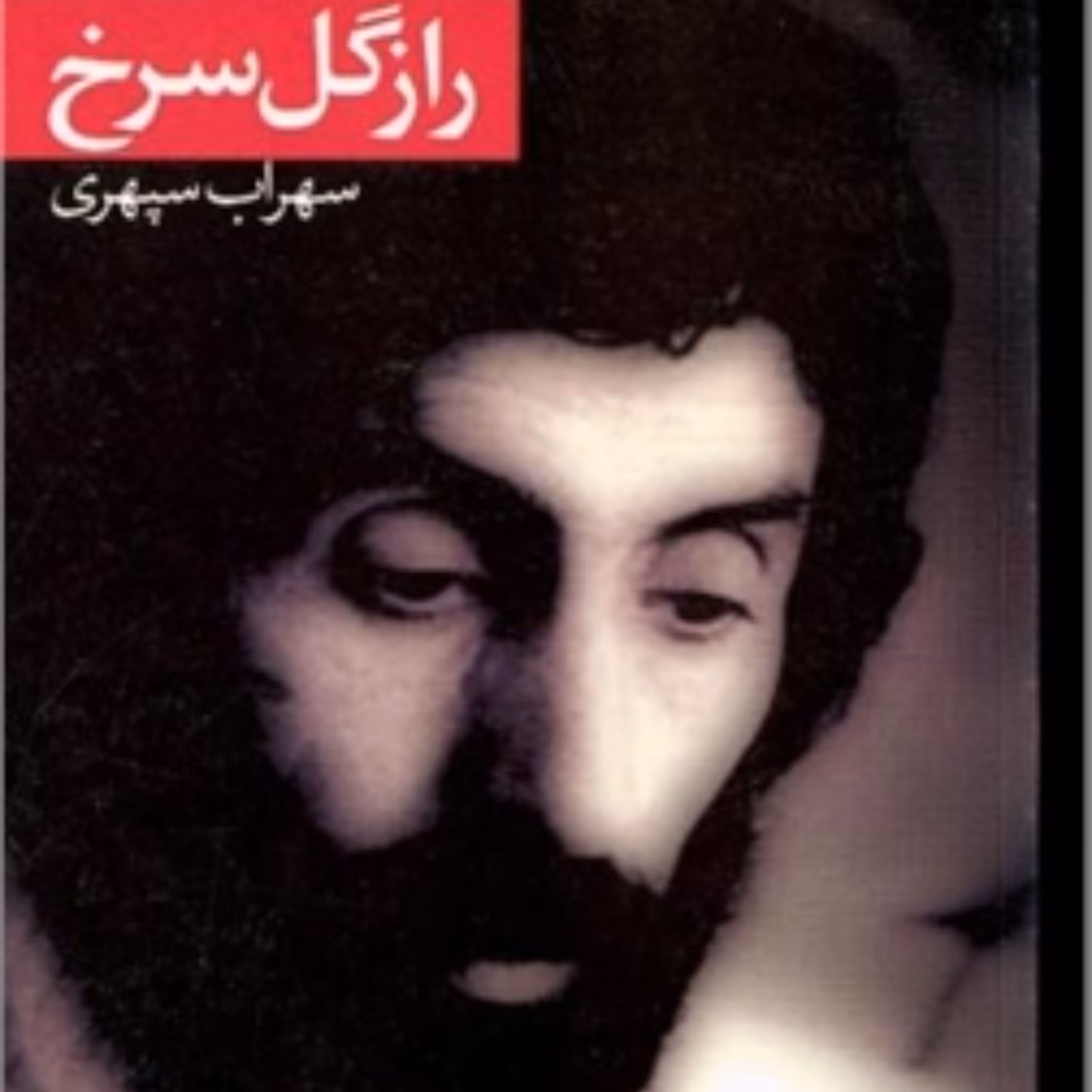 کتاب راز گل سرخ سهراب سپهری نشر نگاه 