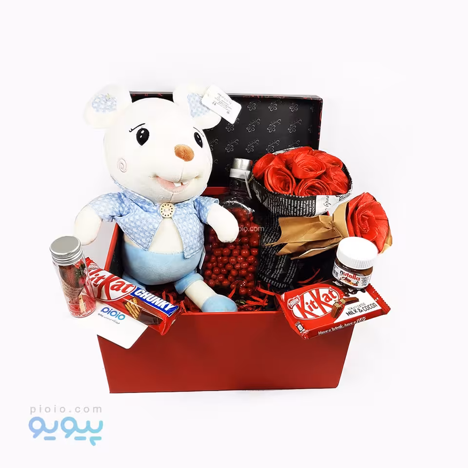 کادو بانمک ولنتاین با عروسک موش خپل