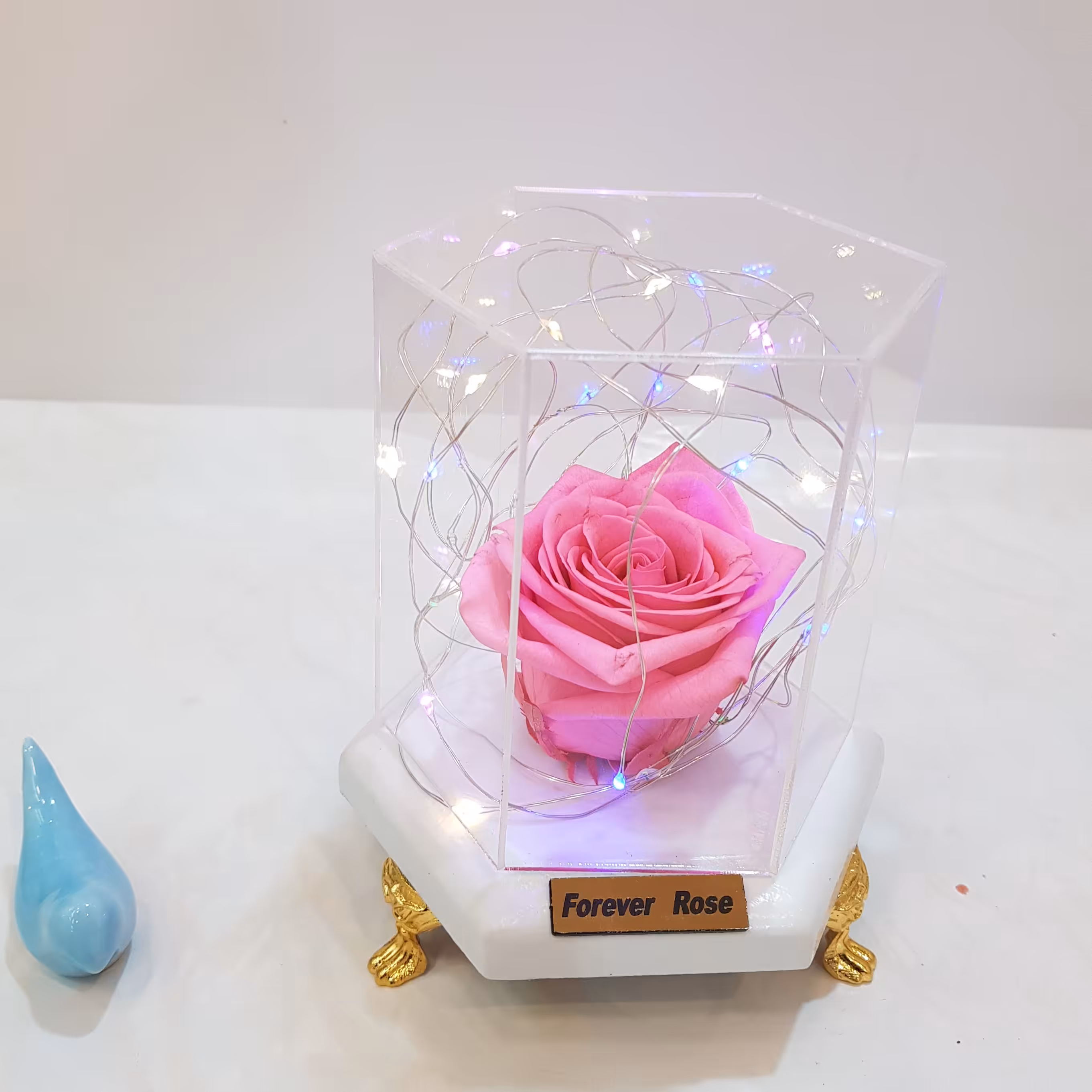 گل رز جاودان،رنگ صورتی ریسه دار