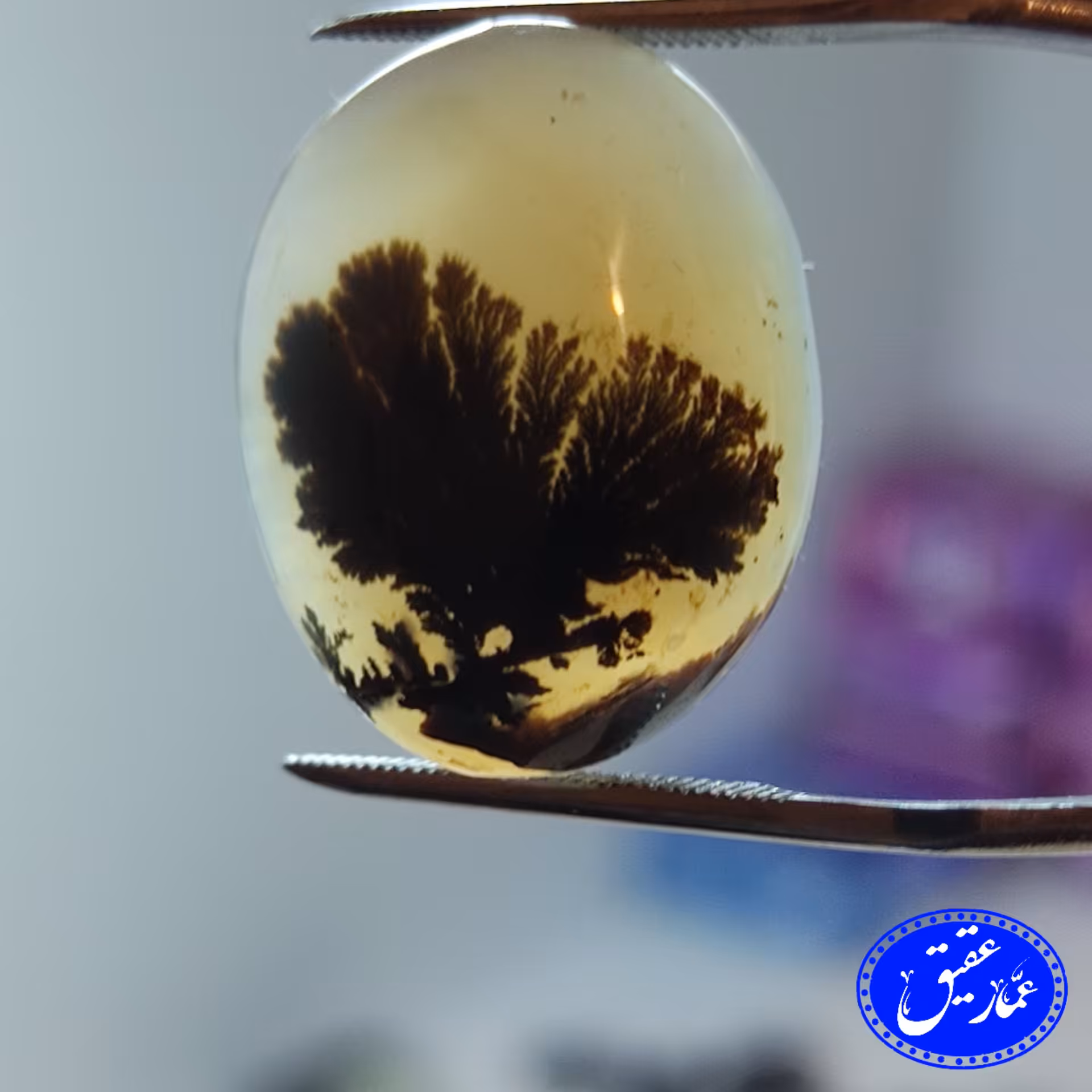 نگین عقیق شجر تک درخت تنومند