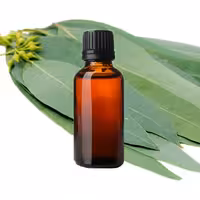 اسانس شمع اکالیپتوس