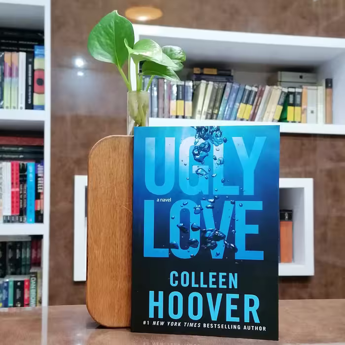 Ugly Love