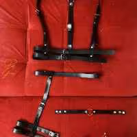 ست چرم کد LE12.17.40