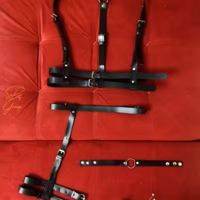 ست چرم کد LE12.17.40