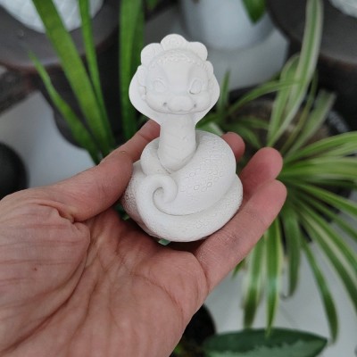 بیس خام مار