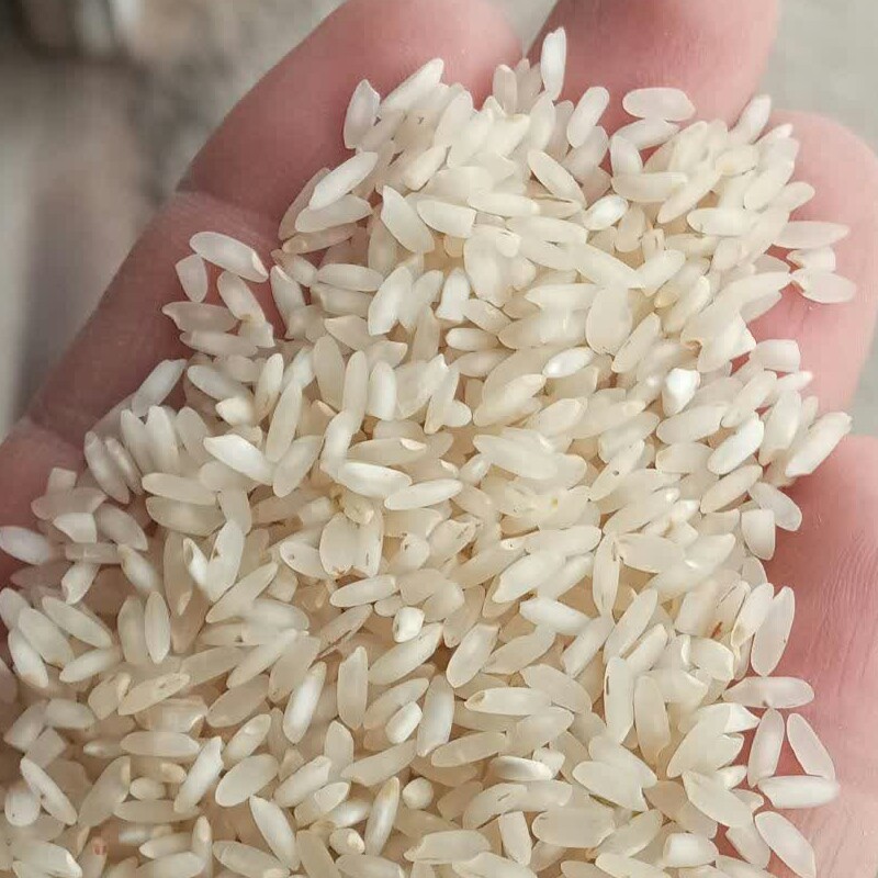 برنج عنبربو جنوب درجه یک امساله سورتینگ و کاملا الک شده بسته بندی 1 کیلوی جهت تست نمونه برنج