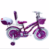 دوچرخه بچگانه پرادو سایز 16 مدل 920 کد 1019002 بنفش
