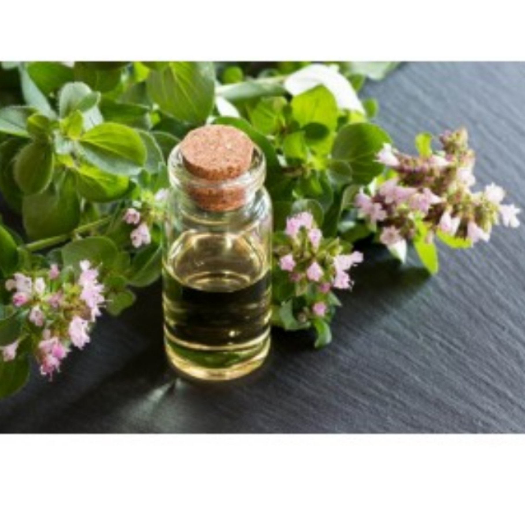 روغن پونه کوهی 30 سی سی