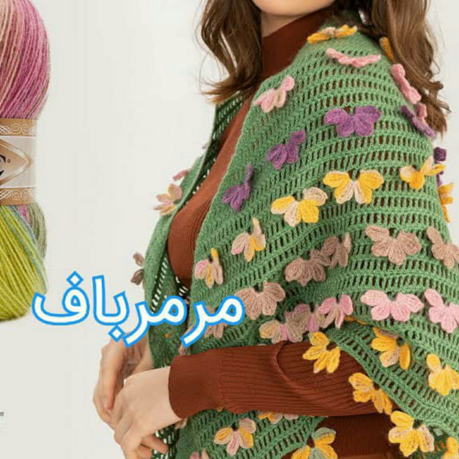 اشارپ پروانه ناز