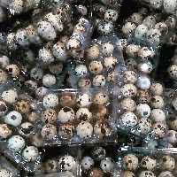 تخم بلدرچین 