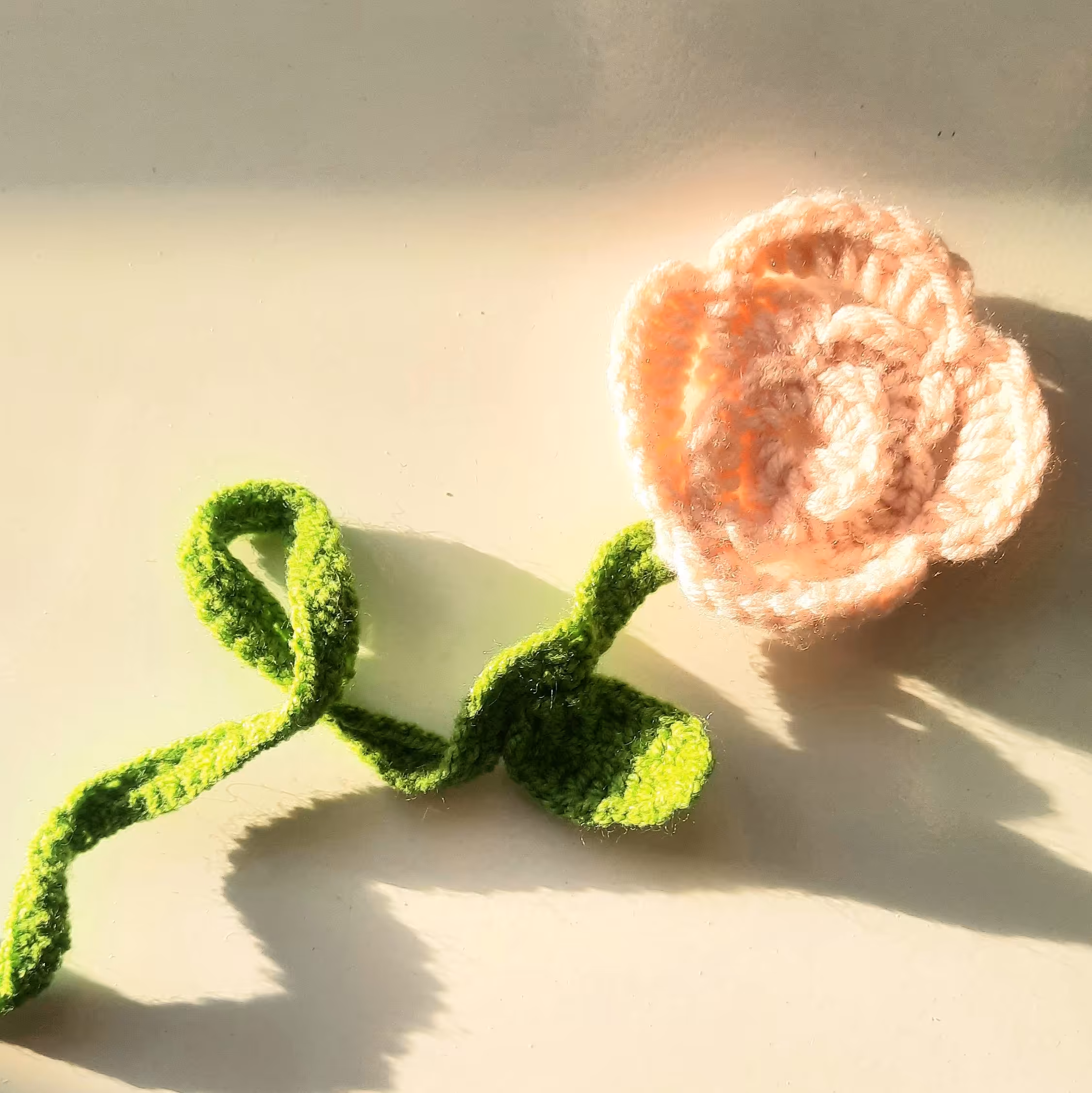 نشان کتاب گل کد 17