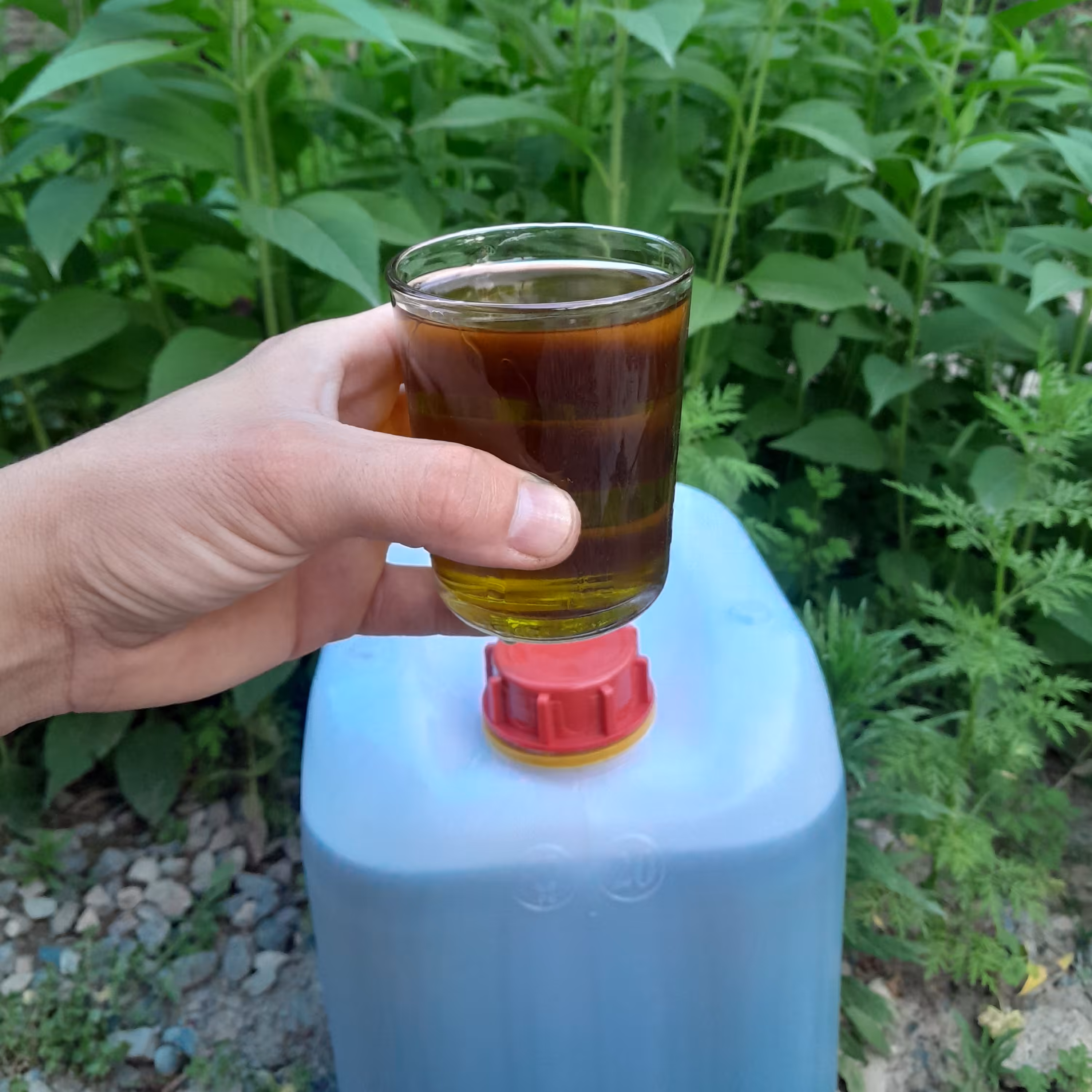 روغن زیتون فرابکربابوپرس سرد( گالن12لیتری ) تضمین کیفیت از باغدار خرید کنید روغن زیتون خالص روغن زیتون بابو روغن زیتون