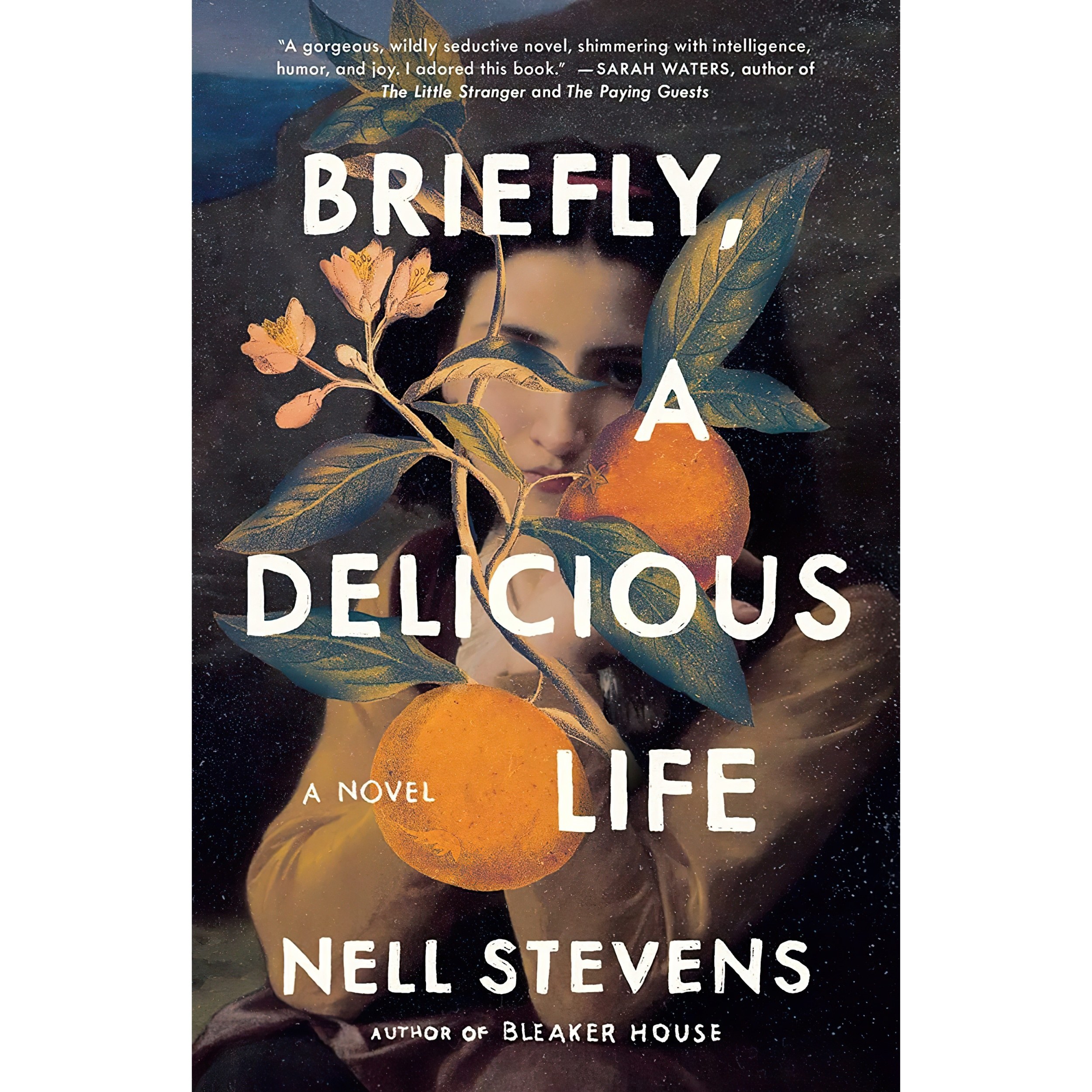 کتاب زبان اصلی Briefly A Delicious Life اثر Nell Stevens انتشارات Scribner