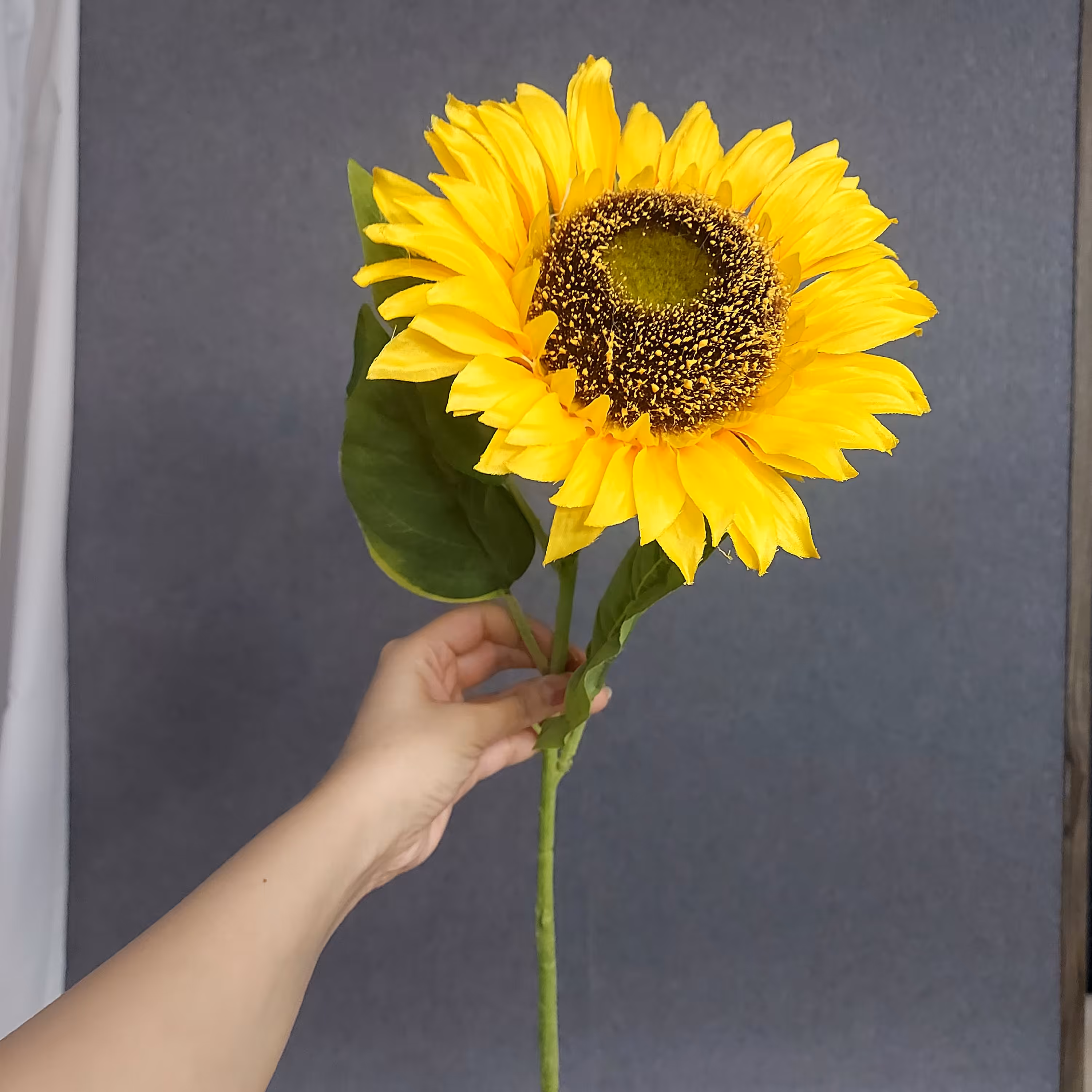  آفتابگردان مصنوعی 