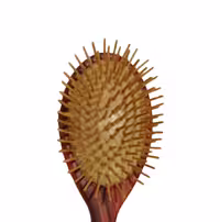 برس مو چوبی پانته آ